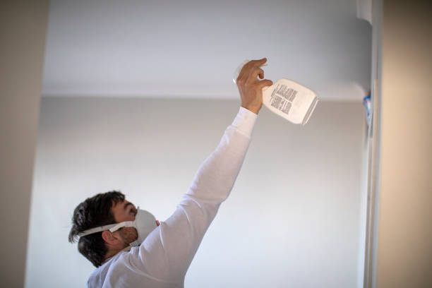 Best Best Mold Removal Companies  in Dexter, OR